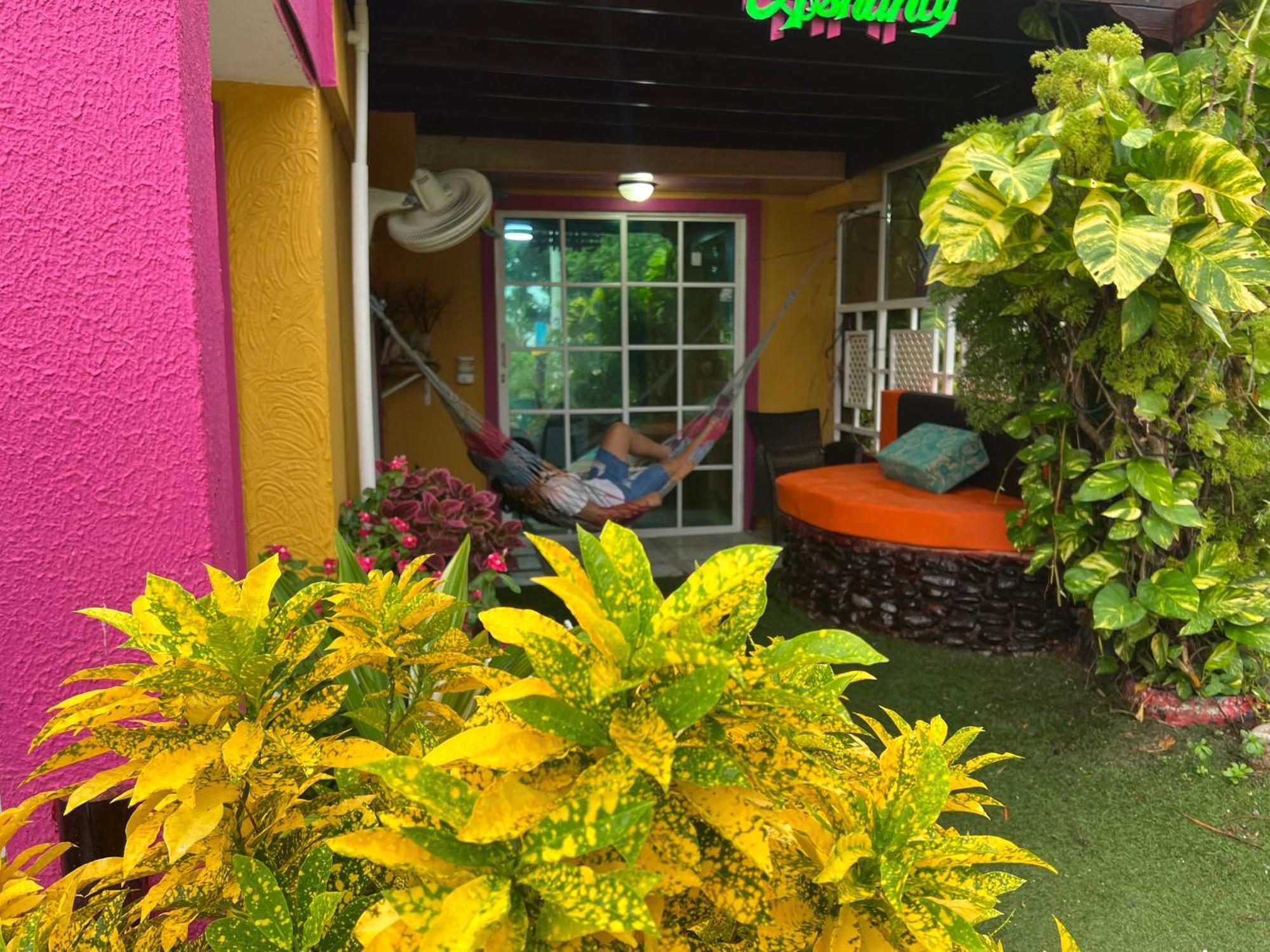 Posada Ashanty Rocky Point Extérieur photo
